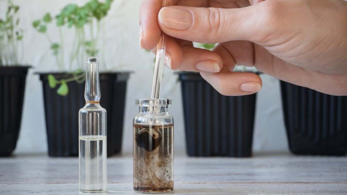Main tenant une pipette de verre au-dessus d'un flacon, devant de jeunes pousses